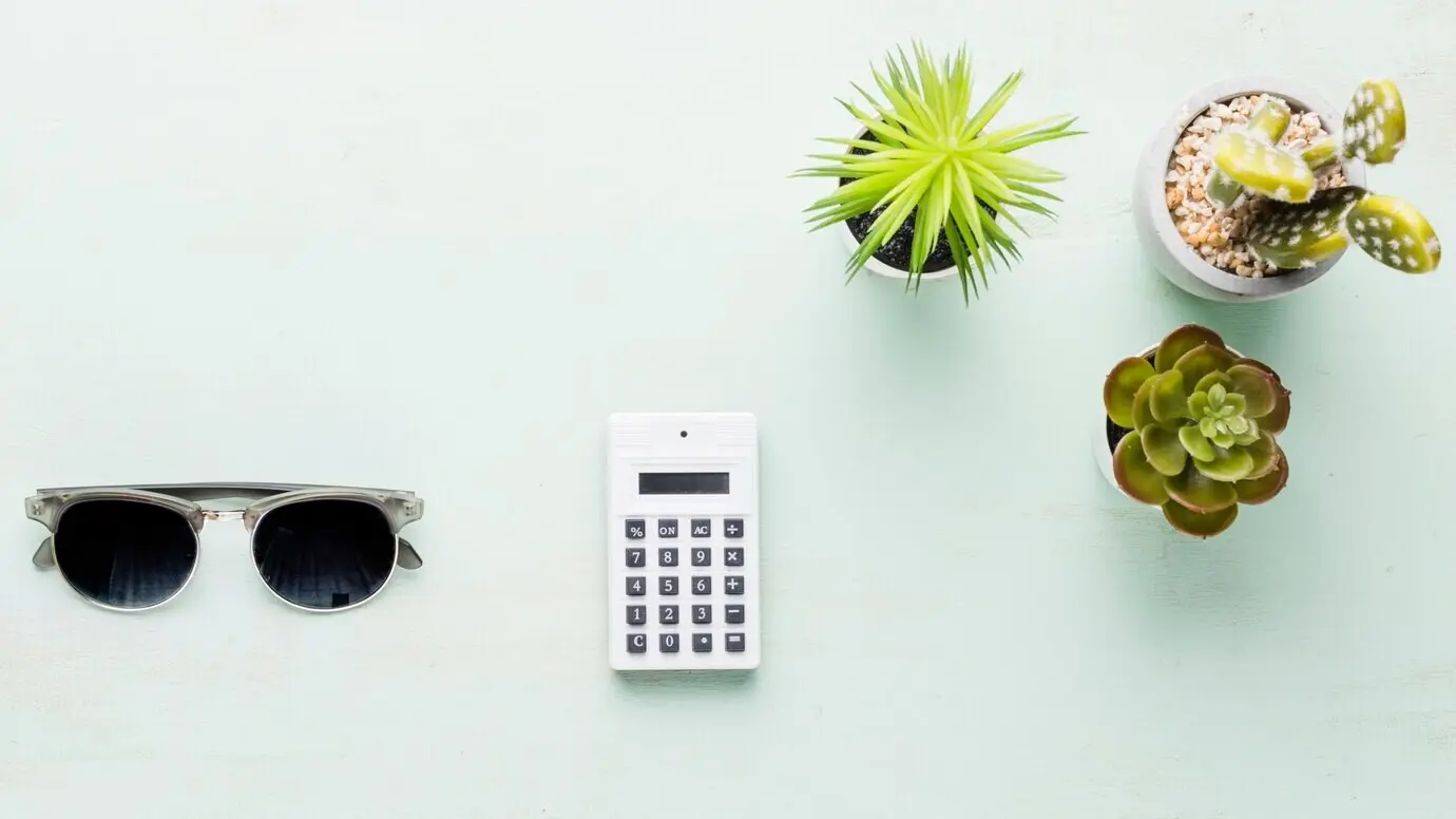 Калькулятор и маленькие декоративные растения на светлой поверхности.